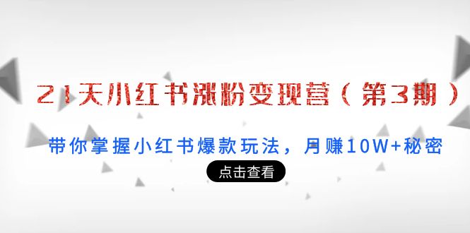 21天小红书涨粉变现营（第3期）：带你掌握小红书爆款玩法，月赚10W+秘密-温暖资源库