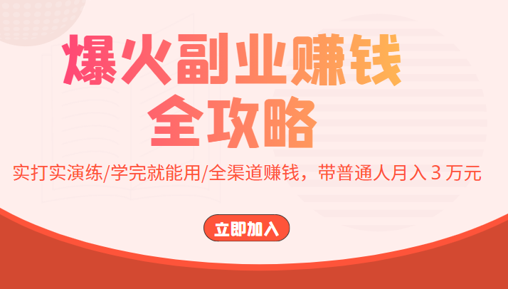爆火副业赚钱全攻略：实打实演练/学完就能用/全渠道赚钱，带普通人月入３万元-温暖资源库