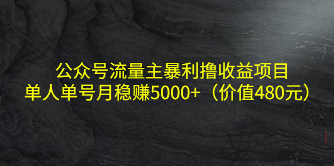 公众号流量主暴利撸收益项目，单人单号月稳赚5000+（价值480元）-温暖资源库