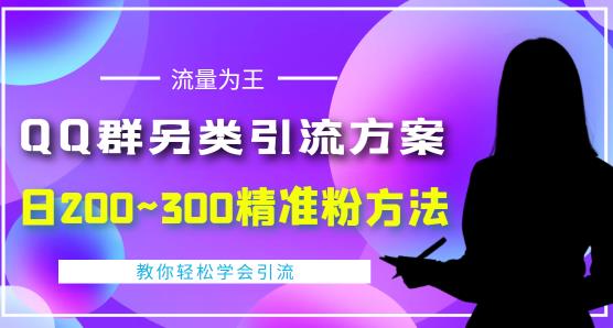 价值888的QQ群另类引流方案，半自动操作日200~300精准粉方法【视频教程】-温暖资源库