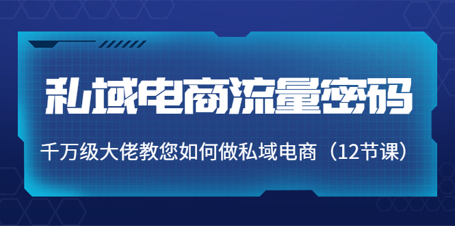 私域电商流量密码：千万级大佬教您如何做私域电商（12节课）-温暖资源库
