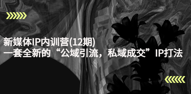 新媒体IP内训营(12期)，一套全新的“公域引流，私域成交”IP打法，直接带走-温暖资源库