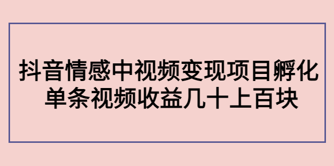 副业孵化营第5期：抖音情感中视频变现项目孵化 单条视频收益几十上百-温暖资源库