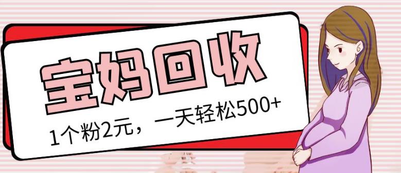 最新小红书母婴号宝妈粉回收项目，1个粉2元，一天轻松500+案例分享【粉丝包回收】-温暖资源库