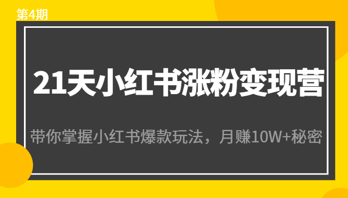 21天小红书涨粉变现营（第4期）：带你掌握小红书爆款玩法，月赚10W+秘密-温暖资源库