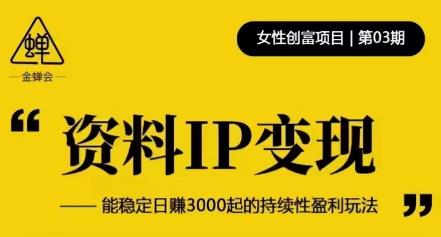 资料IP变现，能稳定日赚3000起的持续性盈利玩法-温暖资源库