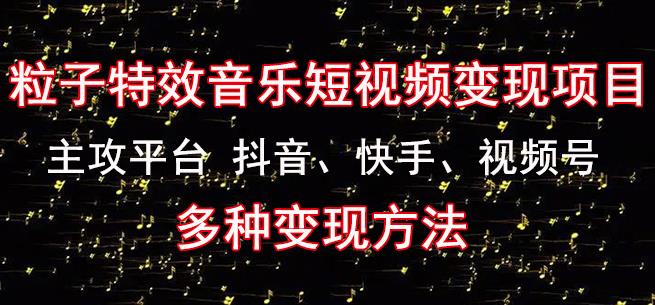 黄岛主《粒子特效音乐短视频变现项目》主攻平台抖音、快手、视频号多种变现方法-温暖资源库