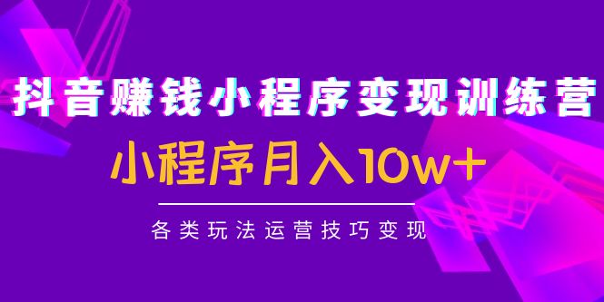抖音赚钱小程序变现训练营：小程序月入10w+各类玩法运营技巧变现-温暖资源库