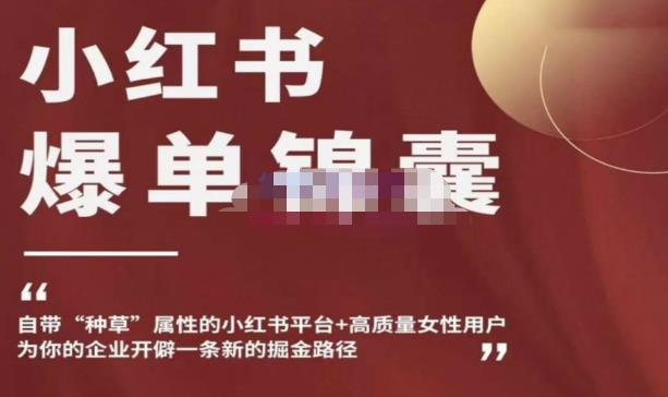 小红书爆单锦囊，自带种草属性+高质量女性用户，为你的企业开辟一条新的掘金路径-温暖资源库