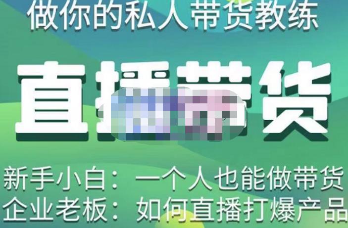 硬核传媒·直播带货（私人教练），实操实战教学，通俗易懂，学完后新手小白一个人也能做带货-温暖资源库