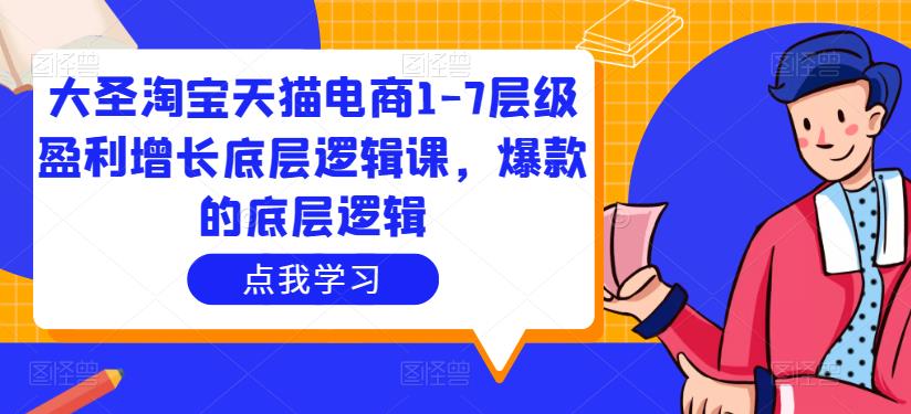 大圣淘宝天猫电商1-7层级盈利增长底层逻辑课，爆款的底层逻辑-温暖资源库