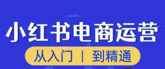 顽石小红书电商高阶运营课程，从入门到精通，玩法流程持续更新-温暖资源库
