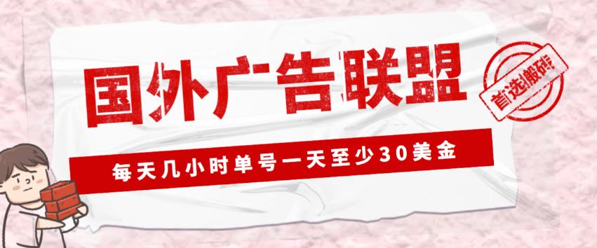 外面收费1980的最新国外LEAD广告联盟搬砖项目，单号一天至少30美金【详细玩法教程】-温暖资源库
