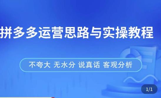 拼多多店铺运营思路与实操教程，快速学会拼多多开店和运营，少踩坑，多盈利-温暖资源库