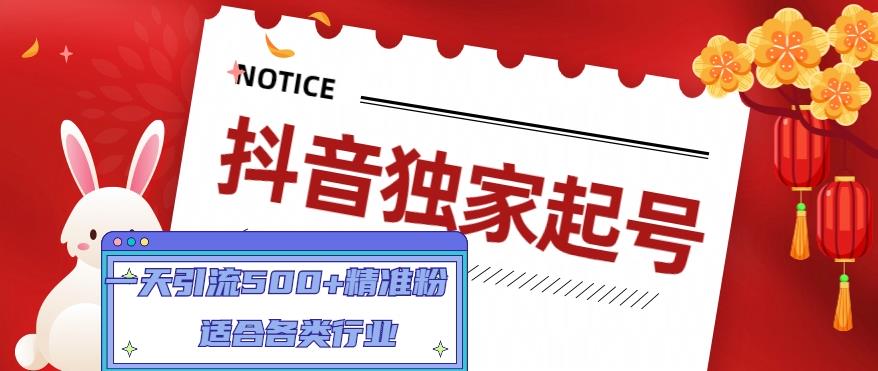抖音独家起号，一天引流500+精准粉，适合各类行业（9节视频课）-温暖资源库