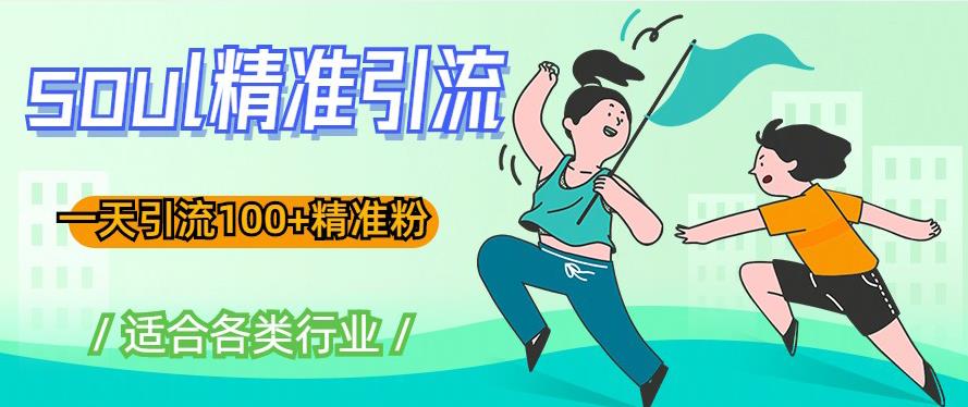 soul精准引流系列课程，一天引流100+精准粉，适合各类行业-温暖资源库