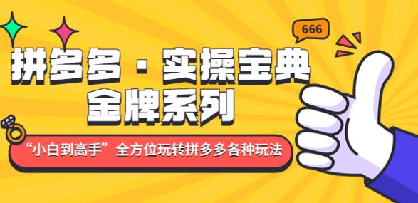 拼多多·实操宝典：金牌系列“小白到高手”带你全方位玩转拼多多各种玩法-温暖资源库
