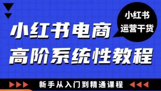 小红书电商高阶系统教程，新手从入门到精通系统课-温暖资源库