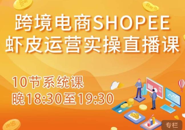 跨境电商Shopee虾皮运营实操直播课，从零开始学，入门到精通（10节系统课）-温暖资源库