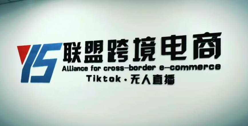 YS联盟·Tiktok无人直播，不出镜不剪辑不拍摄不发货无售后的跨境短视频躺赚玩法-温暖资源库
