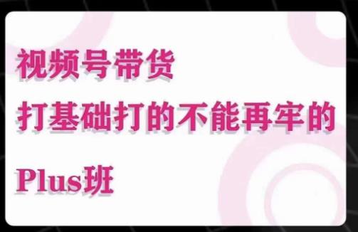 大播汇·视频号带货Puls班，视频号底层逻辑，起号自然流鱼塘等玩法-温暖资源库