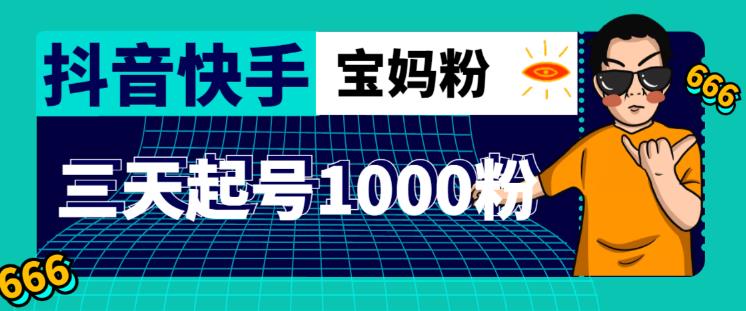 抖音快手三天起号涨粉1000宝妈粉丝的核心方法【详细玩法教程】-温暖资源库