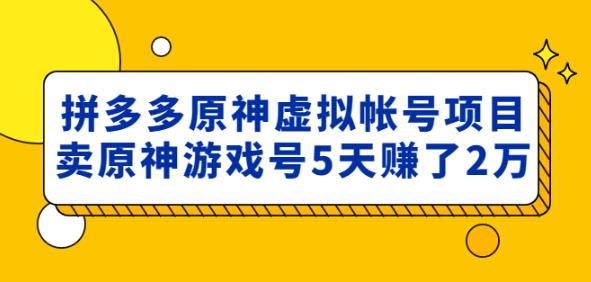 外面卖2980的拼多多原神虚拟帐号项目：卖原神游戏号5天赚了2万-温暖资源库