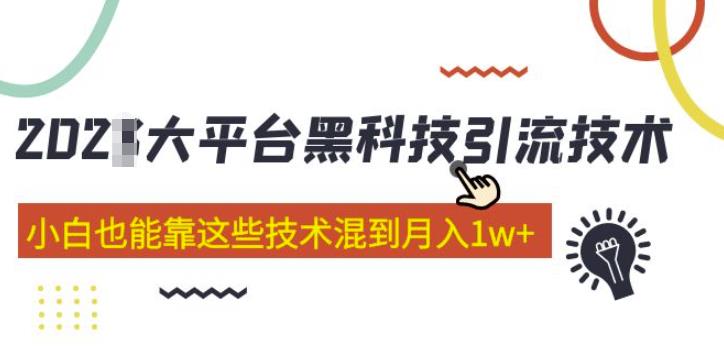 大平台黑科技引流技术，小白也能靠这些技术混到月入1w+(2022年的课程）-温暖资源库