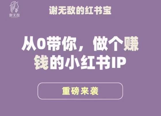 谢无敌·小红书运营大宝典，从0带你做个赚钱的小红书IP-温暖资源库