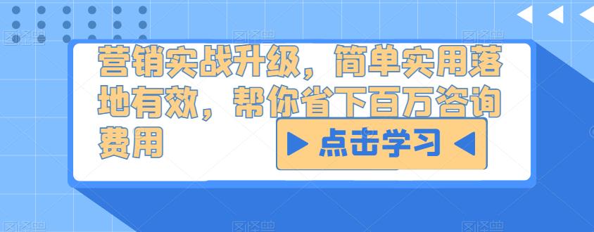 营销实战升级，简单实用落地有效，帮你省下百万咨询费用-温暖资源库