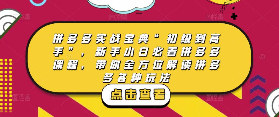 拼多多实战宝典“初级到高手”，新手小白必看拼多多课程，带你全方位解读拼多多各种玩法-温暖资源库