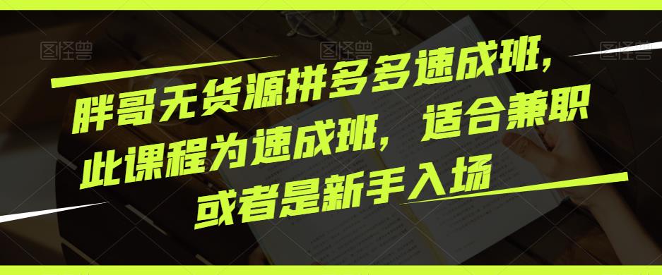 胖哥无货源拼多多速成班，此课程为速成班，适合兼职或者是新手入场-温暖资源库