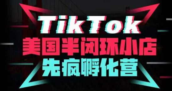 疯人院·TikTok美国半闭环小店孵化营，抢占TikTok美国蓝海市场，开店、运营、带货、投流全实操-温暖资源库