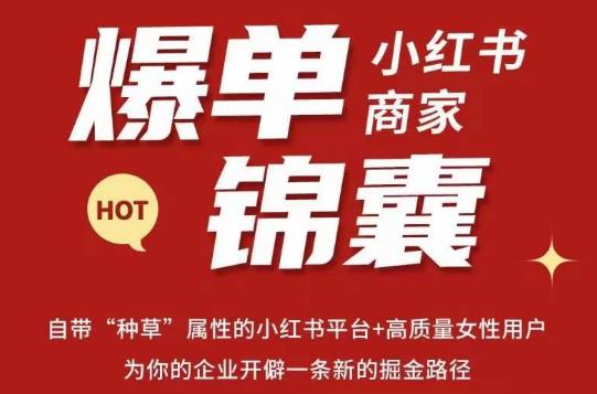 无畏·小红书商家爆单锦囊，掌握小红书各大规则，快速精准抢占行业和市场-温暖资源库