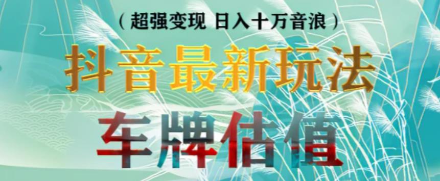 抖音最新无人直播变现直播车牌估值玩法项目，轻松日赚几百+【详细玩法教程】-温暖资源库