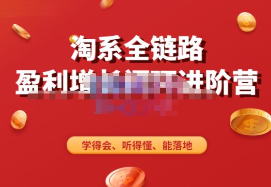 淘系全链路盈利增长闭环进阶营，融合全店动销，学得会、听得懂、能落地！-温暖资源库