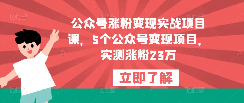 公众号涨粉变现实战项目课，5个公众号变现项目，实测涨粉23万-温暖资源库