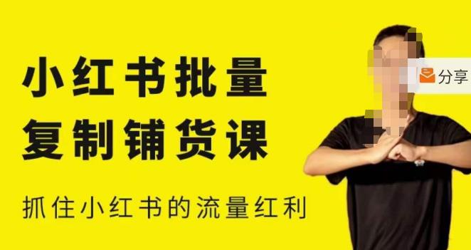张宾·小红书批量复制铺货课，小红书0-1快速起号变现玩法，抓住小红书的流量红利（更新2023年3月）-温暖资源库