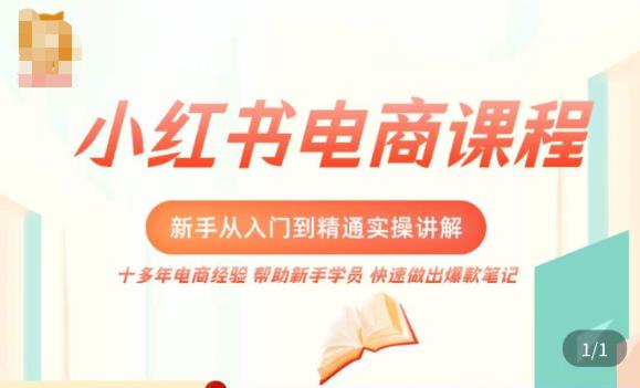 小红书电商新手入门到精通实操课，从入门到精通做爆款笔记，开店运营-温暖资源库