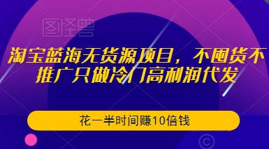 淘宝蓝海无货源项目，不囤货不推广只做冷门高利润代发，花一半时间赚10倍钱-温暖资源库