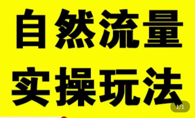 拼多多自然流量天花板，拼多多自然流的实操玩法，自然流量是怎么来的，如何开车带来自然流等知识-温暖资源库