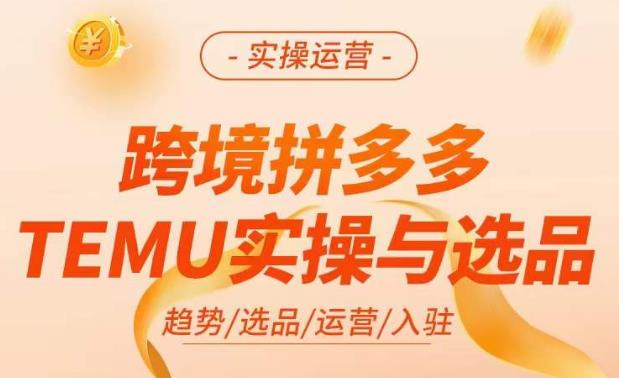 跨境拼多多TEMU实操与选品，​掌握平台运营方法技巧，选品避坑12条标准，爆款的底层思路等-温暖资源库