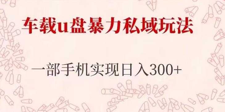 车载u盘暴力私域玩法，长期项目，仅需一部手机实现日入300+-温暖资源库