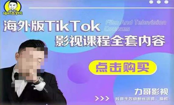海外TikTok影视课程全套，从搭建渠道，到如何正确使用账号，到未来的变现渠道等-温暖资源库