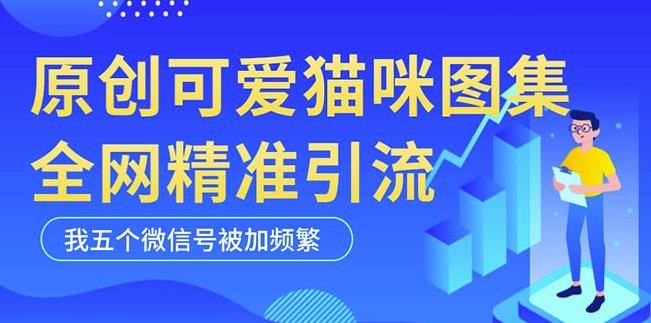 黑科技纯原创可爱猫咪图片，全网精准引流，实操5个VX号被加频繁-温暖资源库