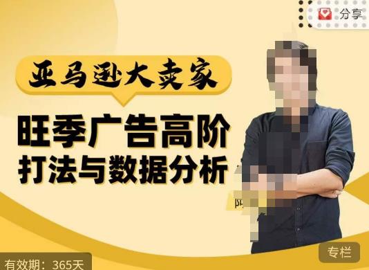 阿甘·亚马逊大卖家广告高阶打法与数据分析，走出传统广告误区；揭秘大卖惯用打法；数据驱动广告决策-温暖资源库