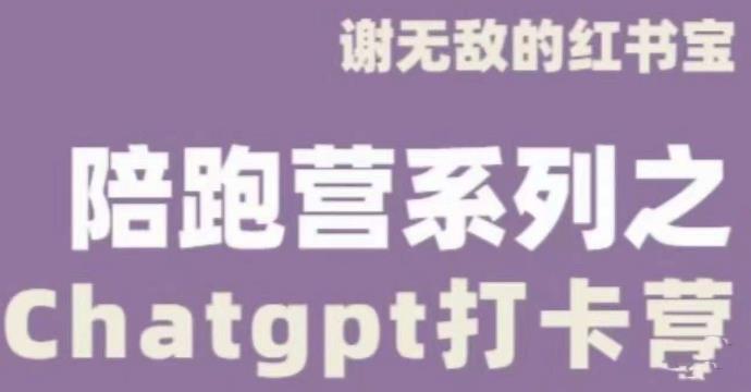 谢无敌ChatGPT打卡营，教你更好地使用ChatGPT来提高工作效率-温暖资源库