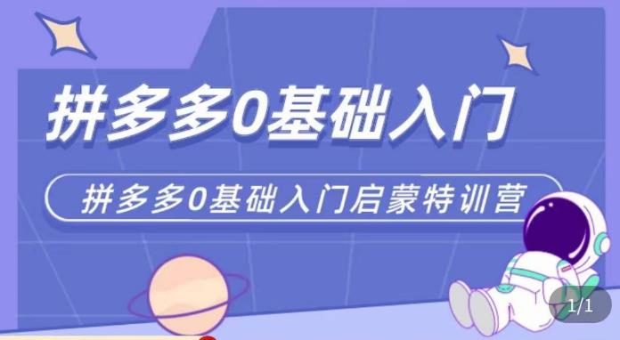 六一电商·拼多多运营0-1实操特训营，拼多多从基础到进阶的可实操玩法-温暖资源库