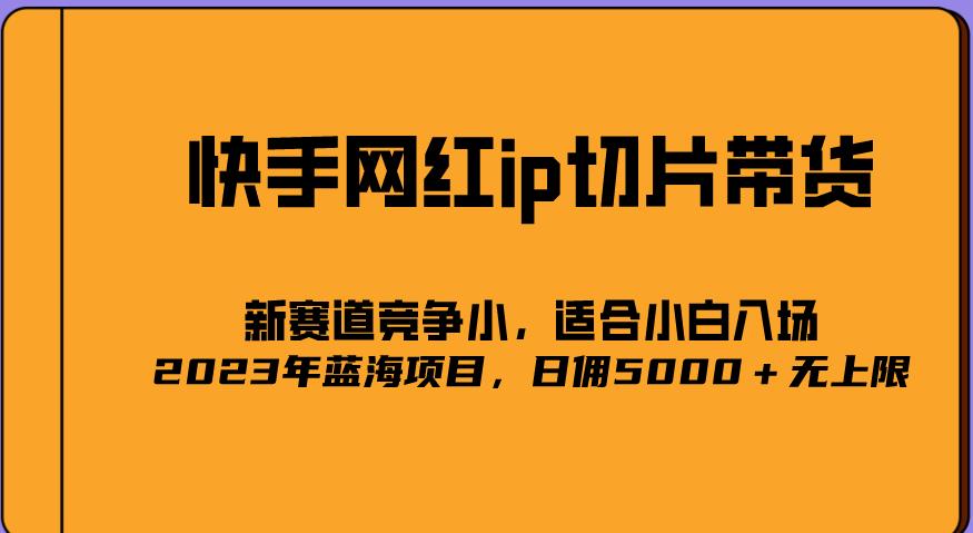 2023爆火的快手网红IP切片，号称日佣5000＋的蓝海项目，二驴的独家授权-温暖资源库