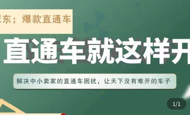 冠东·淘系直通车保姆级教程，全面讲解直通车就那么简单-温暖资源库